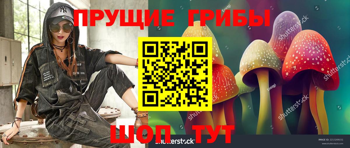 Галлюциногенные грибы Psilocybine cubensis  Псилоцибиновые грибы прущие грибы  купить  сайты  Сарапул  Вход с VPN 